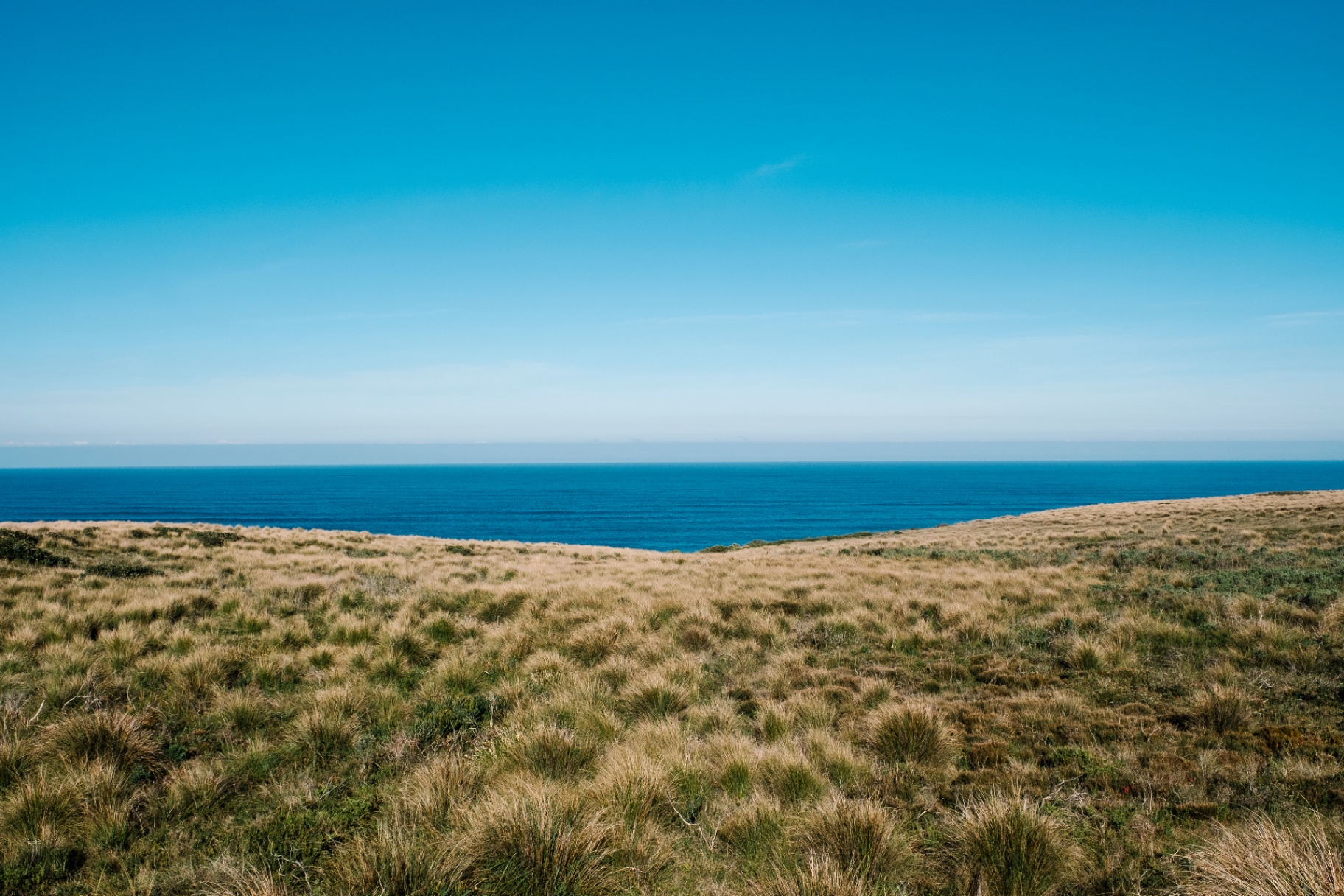 Paisaje de pradera frente al mar